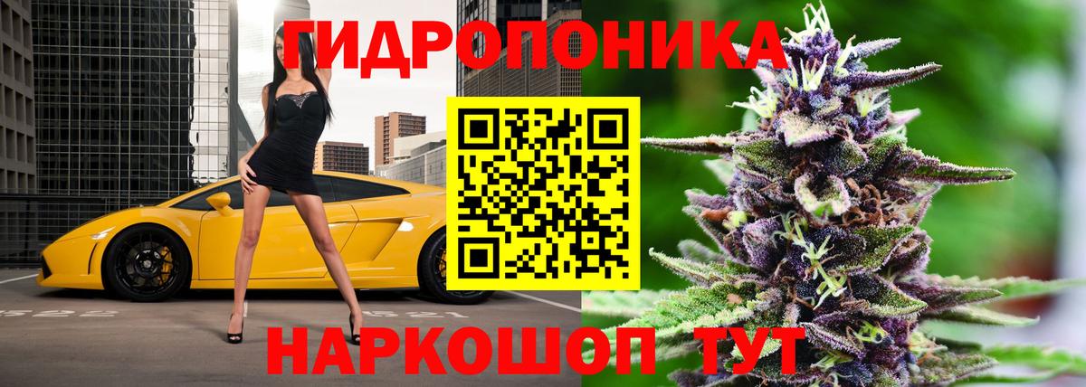 Черкесск  Бошки марихуана Bruce Banner  МАРИХУАНА VHQ  Вход с VPN  Бошки Шишки индика  Конопля сатива 